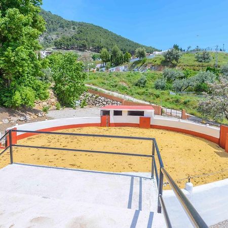 Casa Flores Con Piscina Interior Climatizada Alcaucin Bagian luar foto