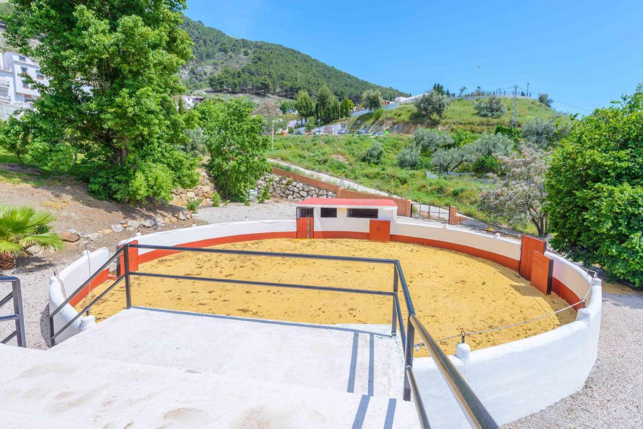 Casa Flores Con Piscina Interior Climatizada Alcaucin Bagian luar foto